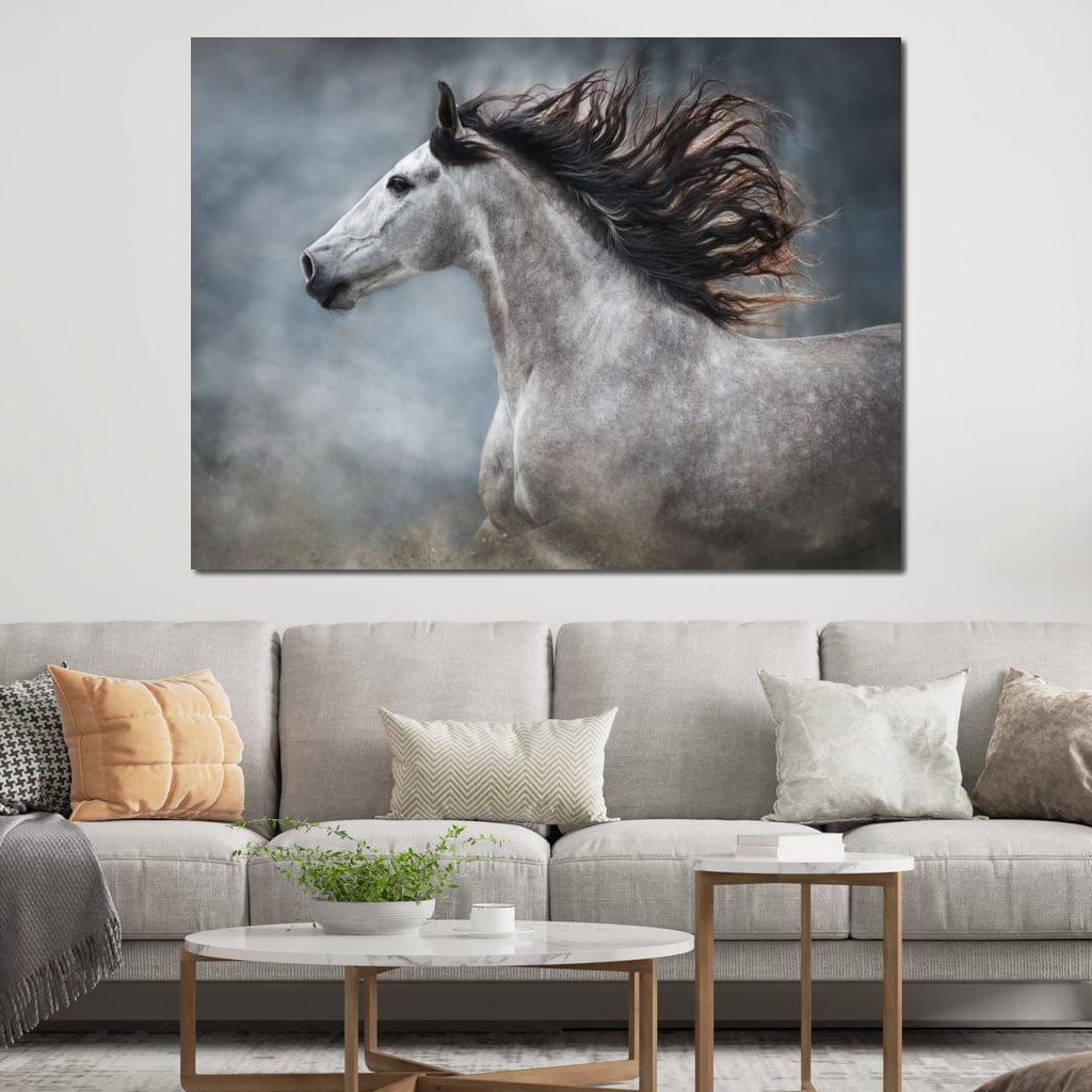 Andalusian Horse Canvas Wall Art