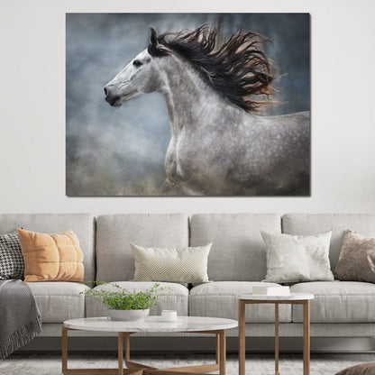 Andalusian Horse Canvas Wall Art