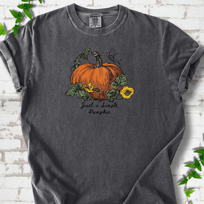 Just a Simple Pumpkin T-Shirt
