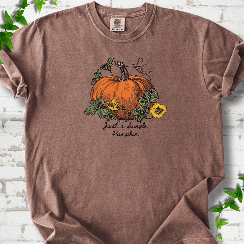 Just a Simple Pumpkin T-Shirt
