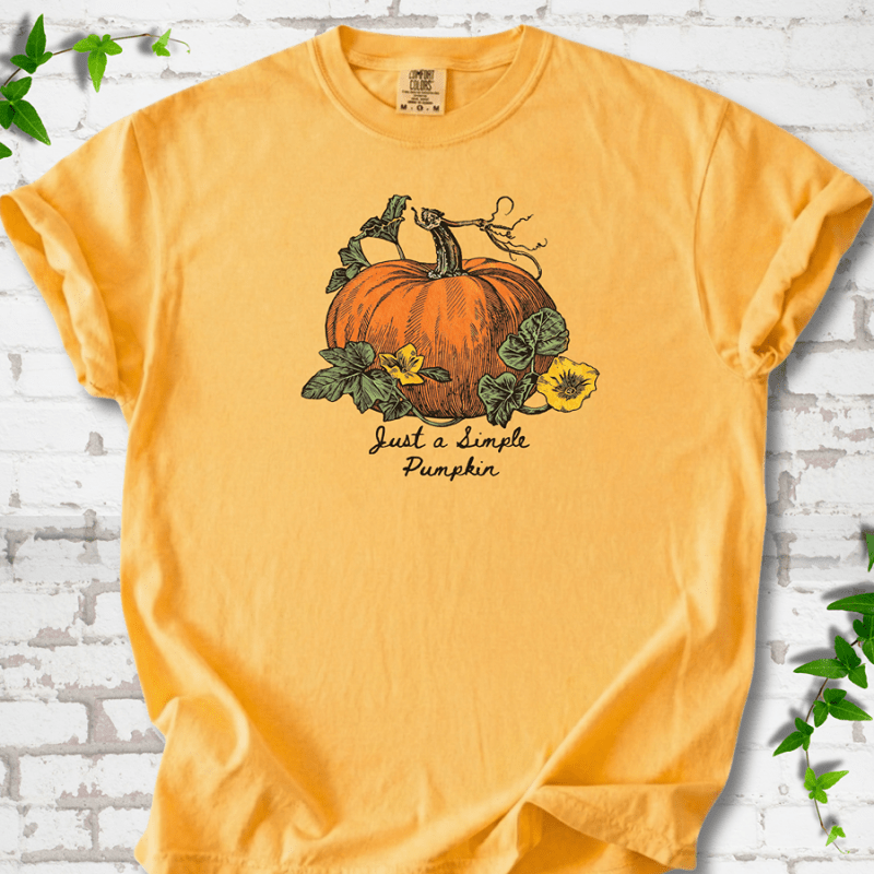 Just a Simple Pumpkin T-Shirt