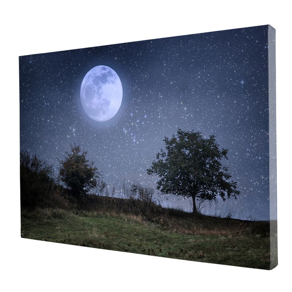 Beautiful Moonlight Canvas Wall Art