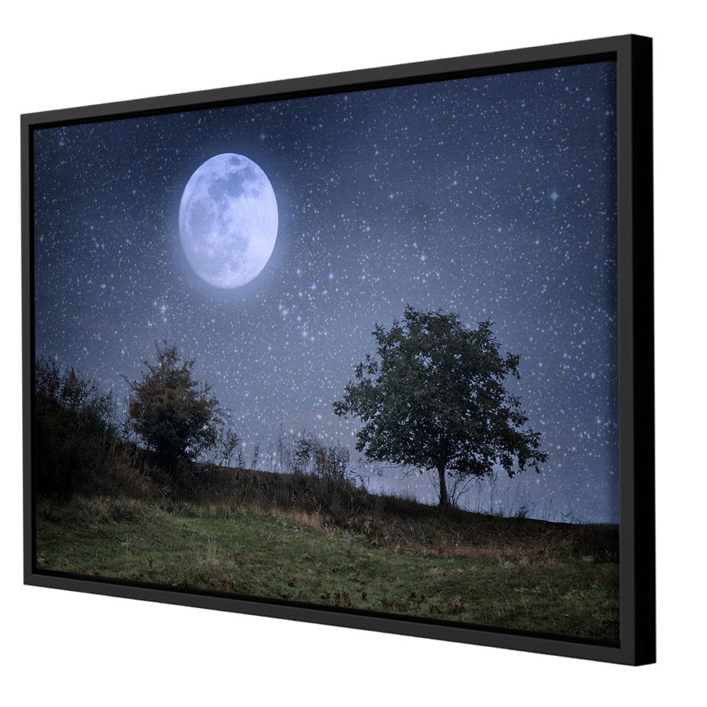 Beautiful Moonlight Canvas Wall Art