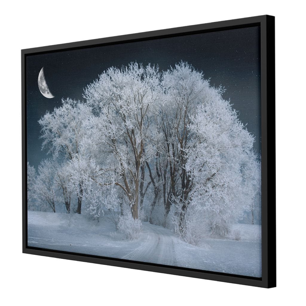 Winter Snow Forest Canvas Wall Art