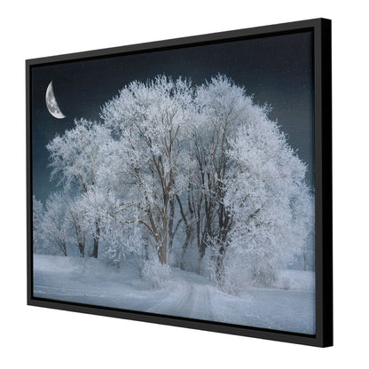 Winter Snow Forest Canvas Wall Art
