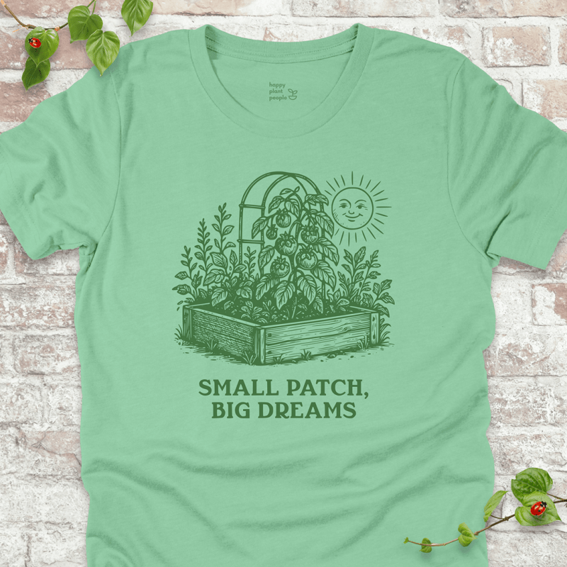 Big Dreams T-Shirt