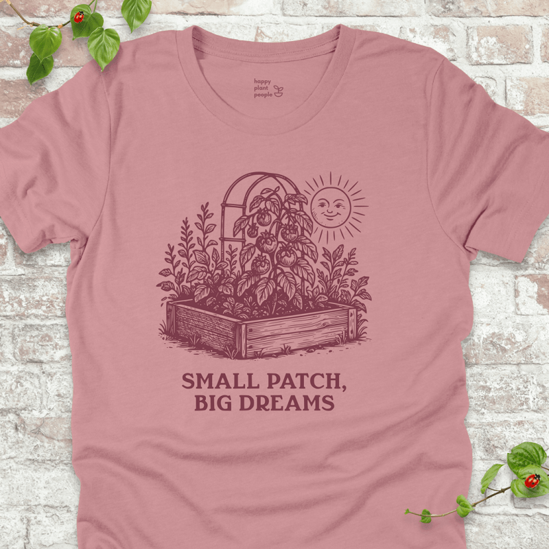 Big Dreams T-Shirt