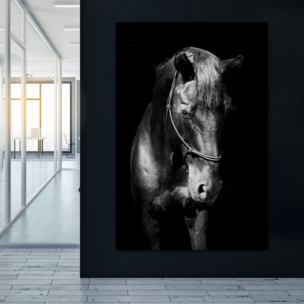 Black & White Horse Head Canvas Wall Art