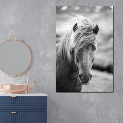 Icelandic Horse Canvas Wall Art