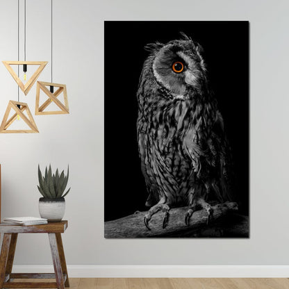 Black & White Owl Canvas Wall Art