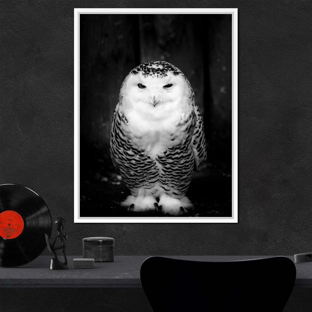 Black and White Snowy Owl Canvas Wall Art