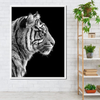 Black and White Sumatran Tiger Canvas Wall Art