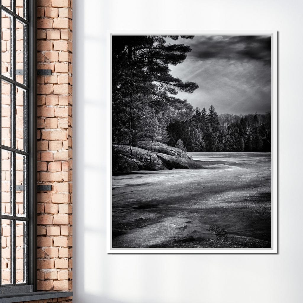 Gullwing Lake Canvas Wall Art