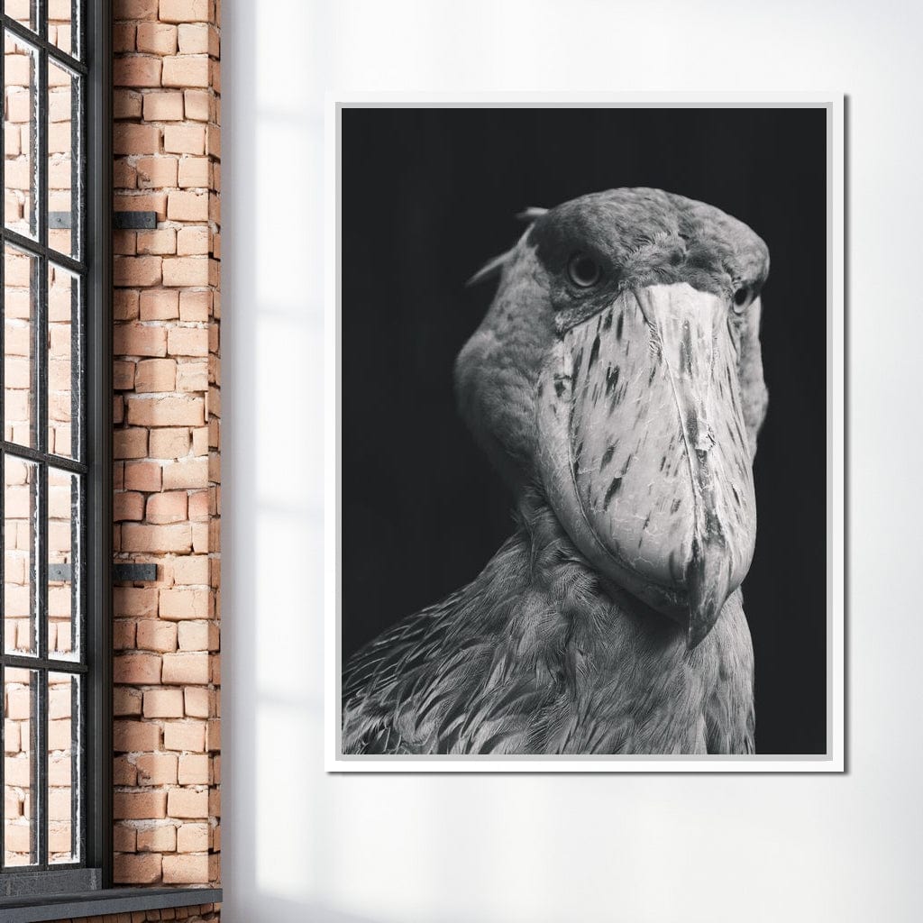 Black and White Shoebill Stork Canvas Wall Art