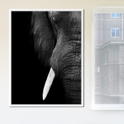 Black and White Elephant Close up Canvas Wall Art