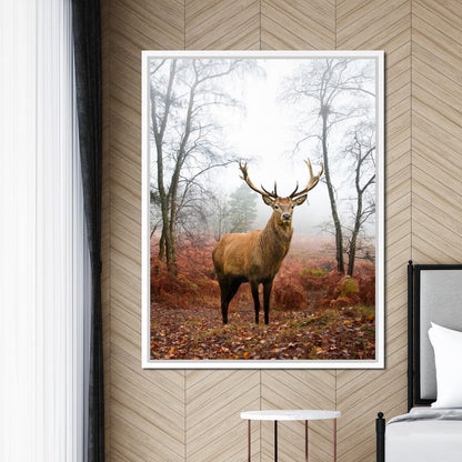 Red Deer Stag Canvas Wall Art