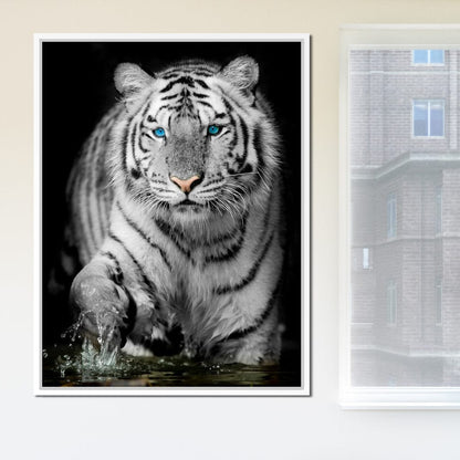 Blue Eyed Snow Tiger Canvas Wall Art