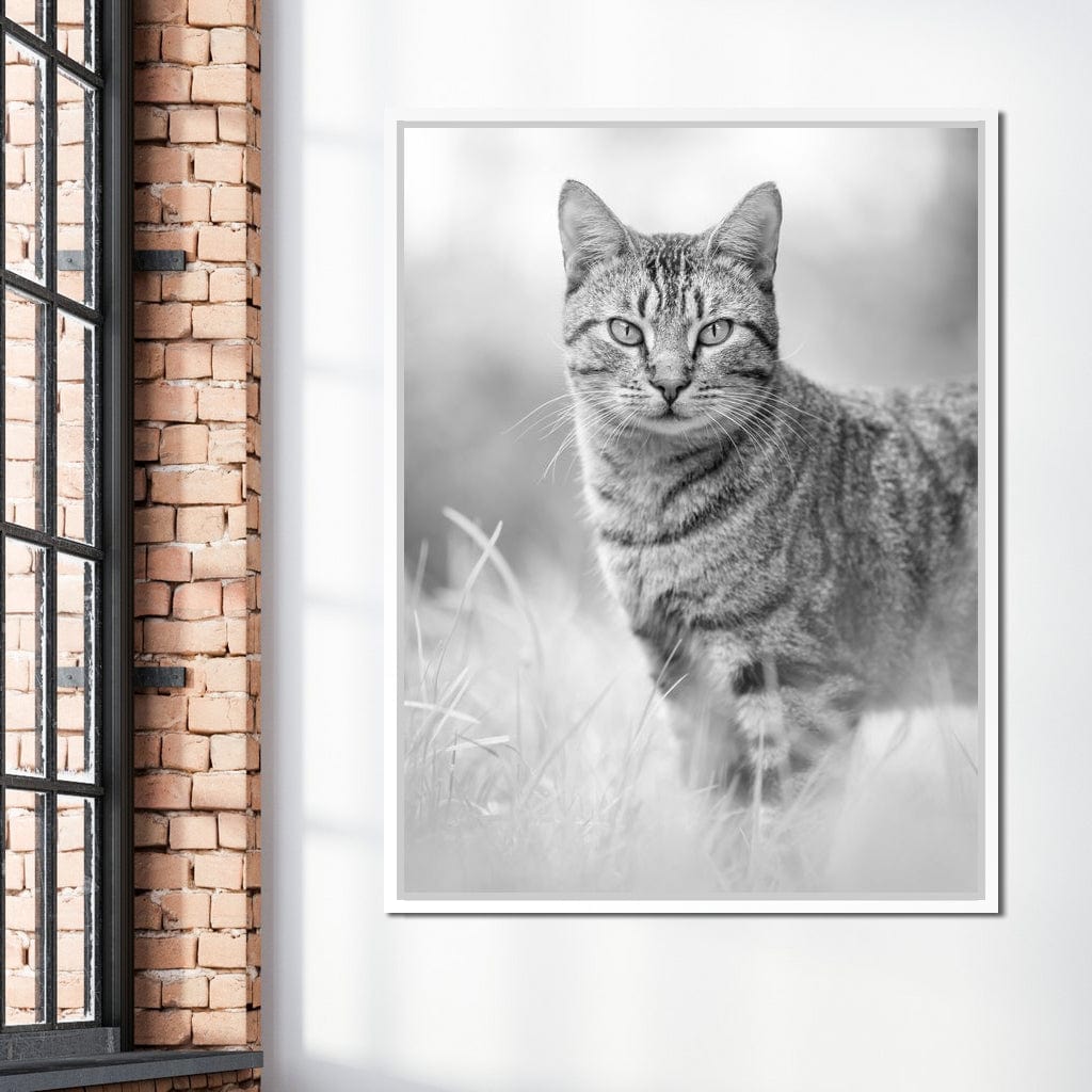 Black & White Kitty Cat Canvas Wall Art