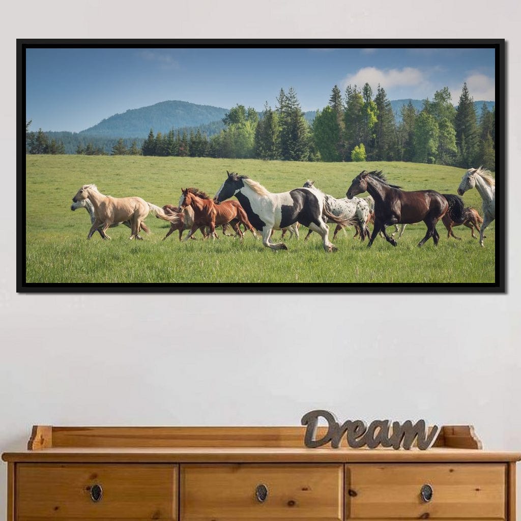Horses of all Colors Running in a Pasture Canvas Wall Art