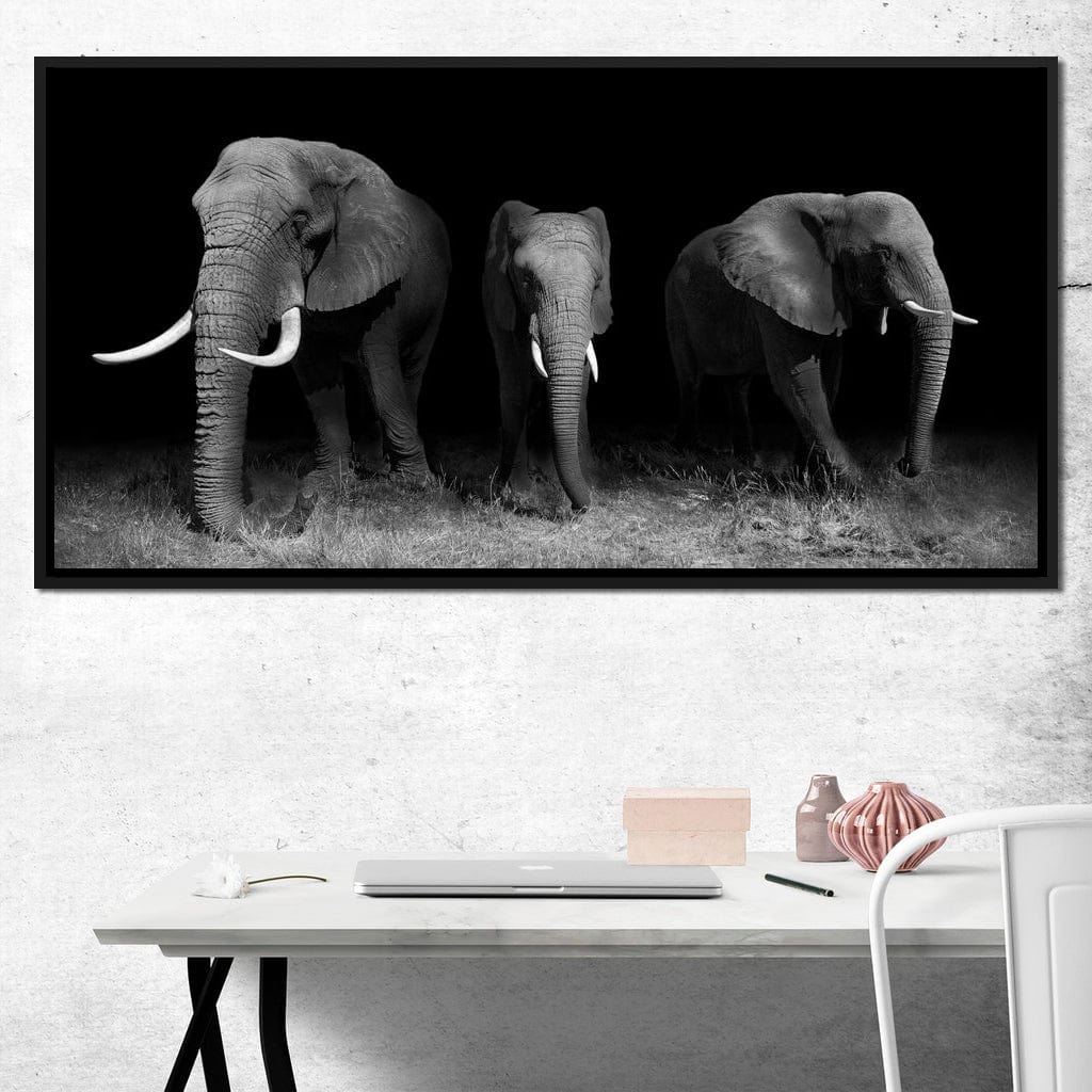 Black and White Elephants Canvas Wall Art