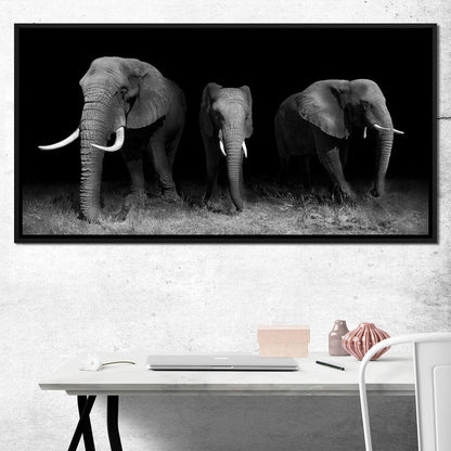 Black and White Elephants Canvas Wall Art