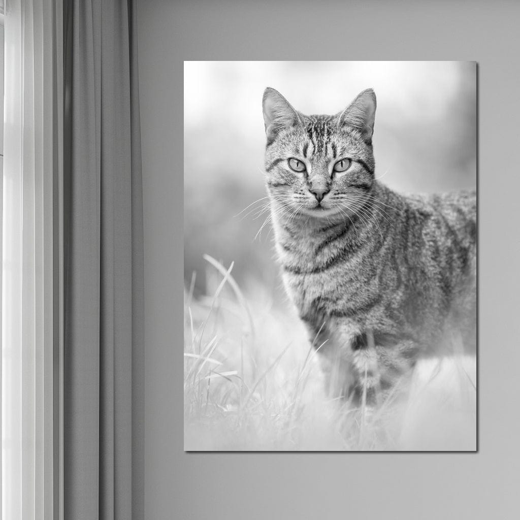 Black & White Kitty Cat Canvas Wall Art