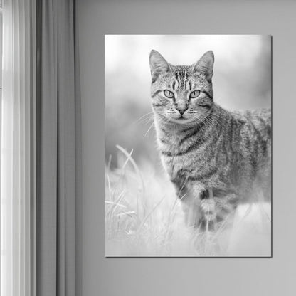 Black & White Kitty Cat Canvas Wall Art