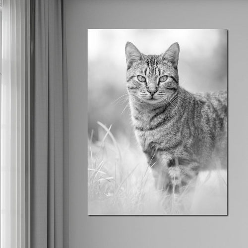 Black & White Kitty Cat Canvas Wall Art