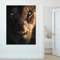 Lioness Eyes Canvas Wall Art