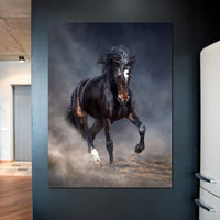 Wild Horse Canvas Wall Art