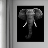 Black and White Elephant Face Canvas Wall Art