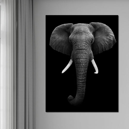 Black and White Elephant Face Canvas Wall Art
