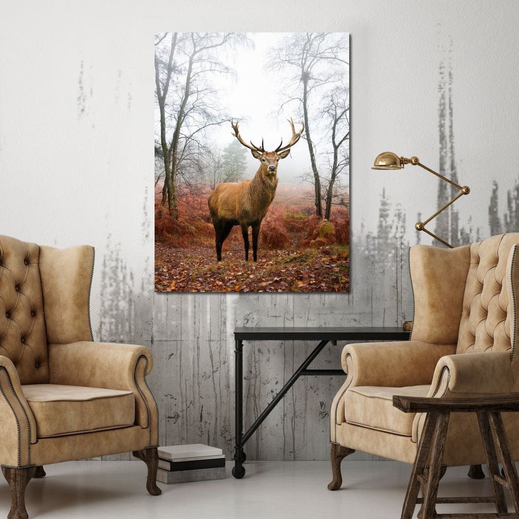 Red Deer Stag Canvas Wall Art