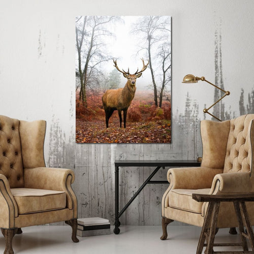 Red Deer Stag Canvas Wall Art