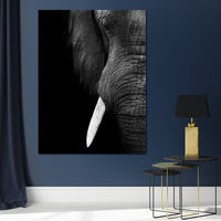 Black and White Elephant Close up Canvas Wall Art