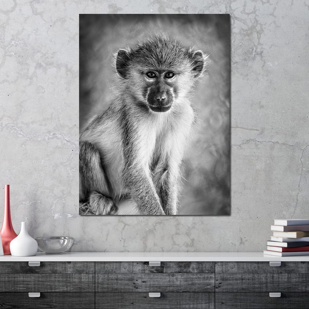 Monkey in Black & White Canvas Wall Art