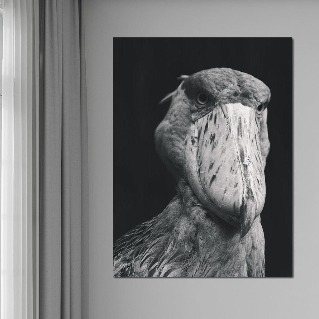 Black and White Shoebill Stork Canvas Wall Art