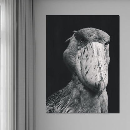 Black and White Shoebill Stork Canvas Wall Art