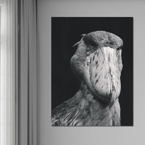 Black and White Shoebill Stork Canvas Wall Art