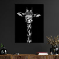 Black and White Giraffe Canvas Wall Art