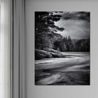 Gullwing Lake Canvas Wall Art