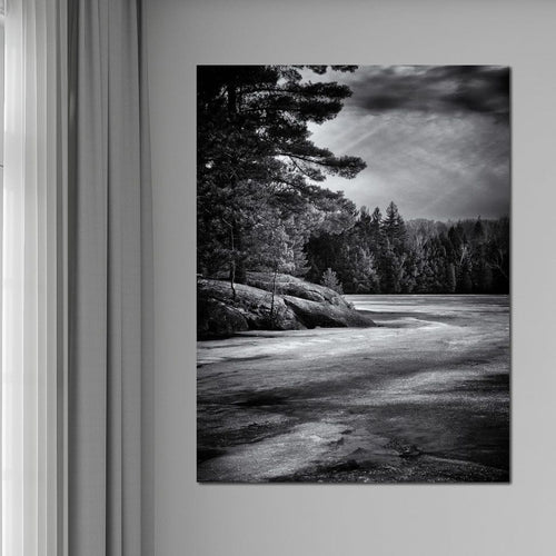 Gullwing Lake Canvas Wall Art