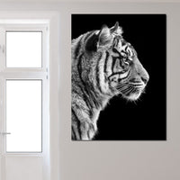 Black and White Sumatran Tiger Canvas Wall Art
