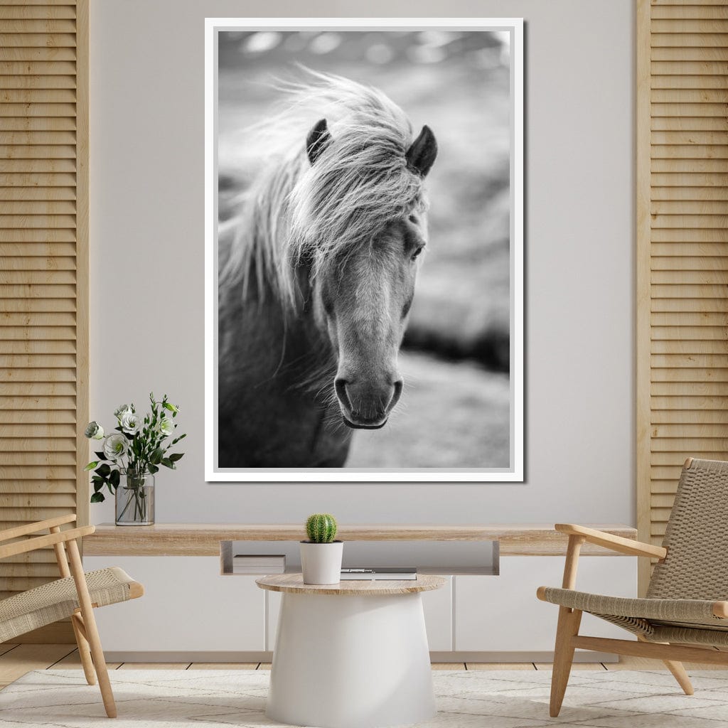 Icelandic Horse Canvas Wall Art