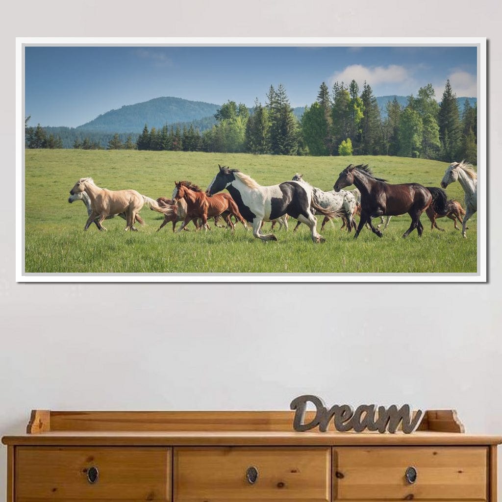 Horses of all Colors Running in a Pasture Canvas Wall Art