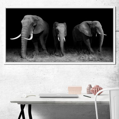 Black and White Elephants Canvas Wall Art