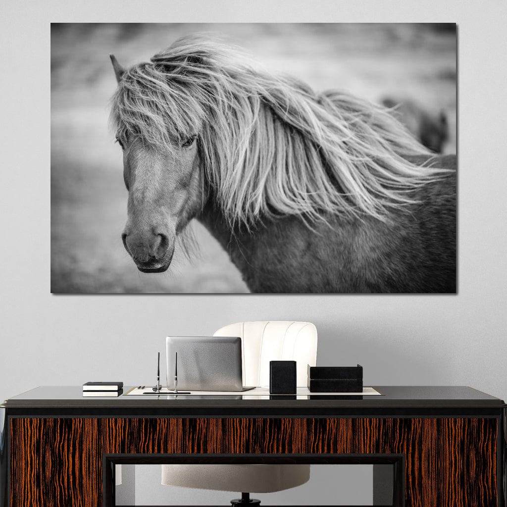 Icelandic Horse in Black & White Canvas Wall Art