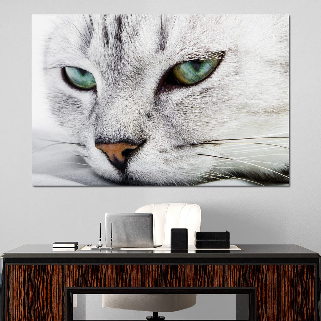 Cat Relaxing Canvas Wall Art