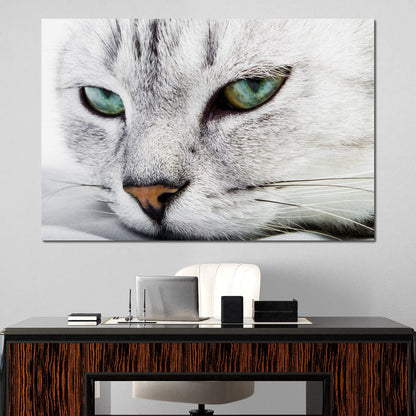 Cat Relaxing Canvas Wall Art