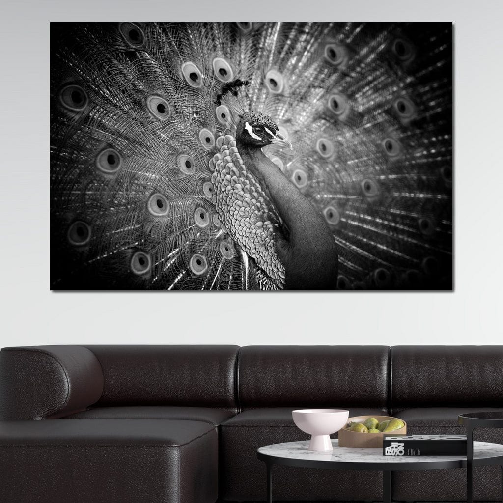 Black and White Peacock Canvas Wall Art